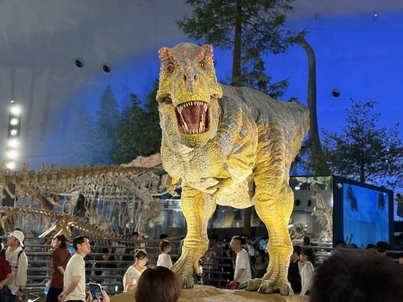 Kanazawa: World-Class Fukui Dinosaur Museum Small Group Tour - The Short Version: What to Know Before You Go