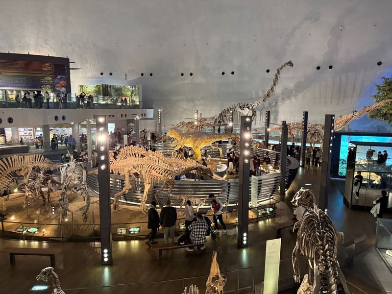 Kanazawa: World-Class Fukui Dinosaur Museum Small Group Tour - Why the Museum Is Worth the Trip from Kanazawa