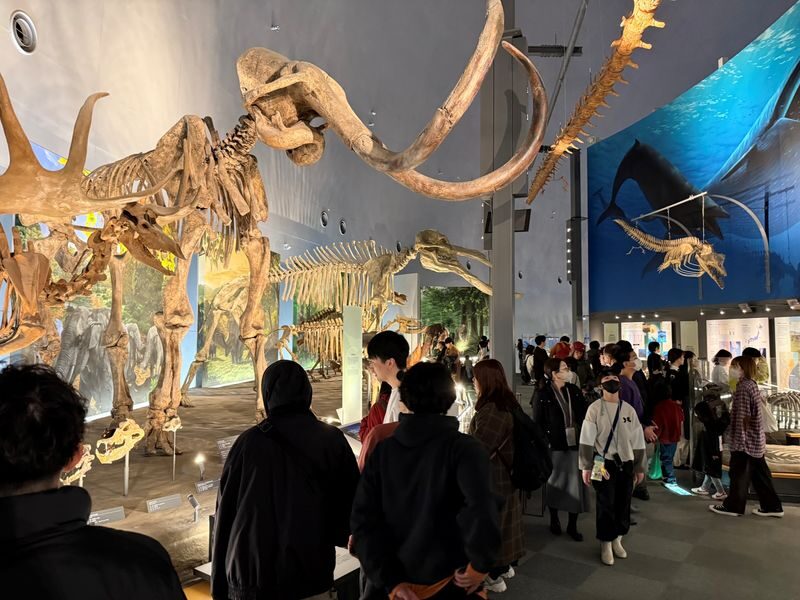 Kanazawa: World-Class Fukui Dinosaur Museum Small Group Tour - Four Hours at the Fukui Prefectural Dinosaur Museum
