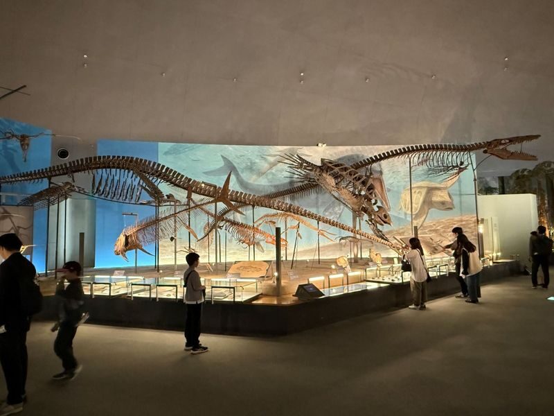 Kanazawa: World-Class Fukui Dinosaur Museum Small Group Tour - Lunch Planning: A Small Detail That Can Save Time
