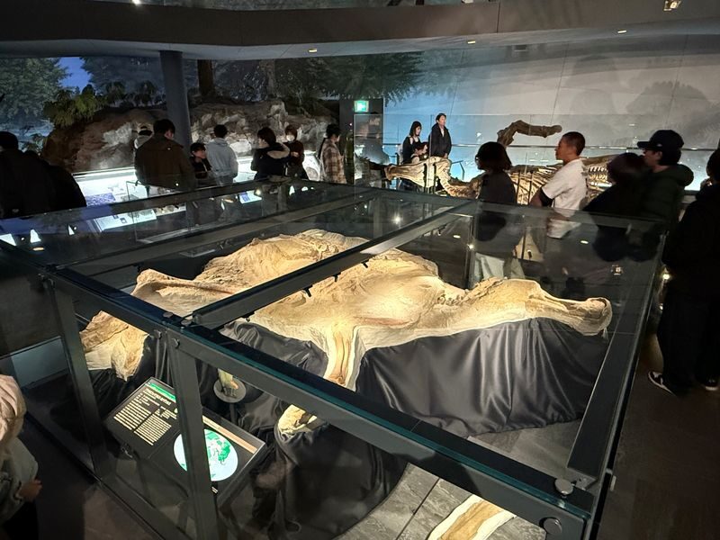 Kanazawa: World-Class Fukui Dinosaur Museum Small Group Tour - The 16:30 Return to Kanazawa