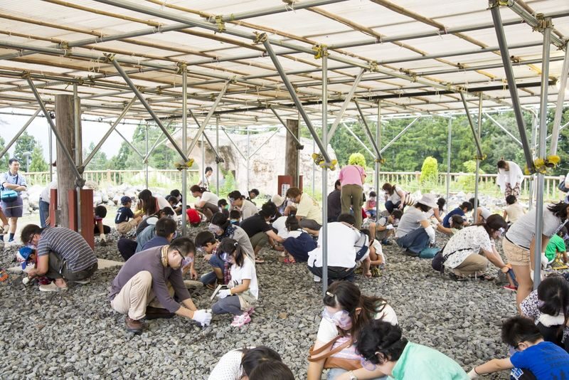 Kanazawa: World-Class Fukui Dinosaur Museum Small Group Tour - Who Should Book This Dinosaur Day Trip