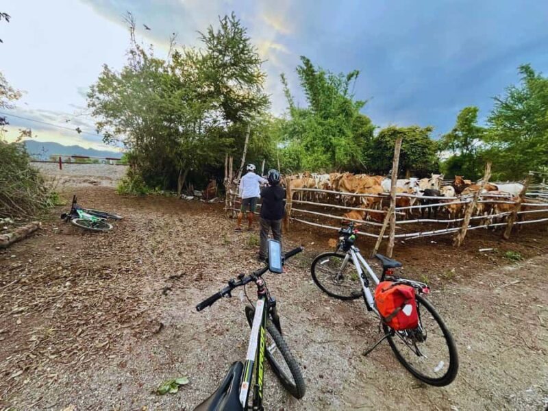 Kanchanaburi Sunset Ride with History and Homestyle Dinner - FAQ