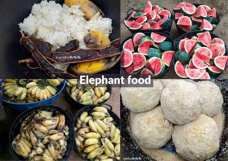 Kanchanaburi with Erawan & Elephant from Bangkok by MyProGuide - Lunch in Kanchanaburi: ask what your fare covers