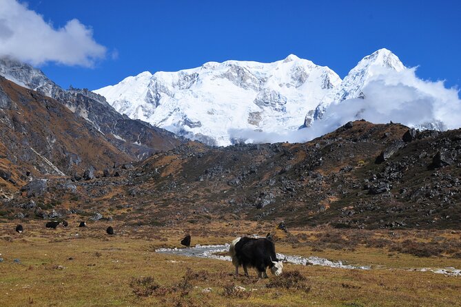 Kanchenjunga Circuit Trek - Trek Difficulty and Fitness Level