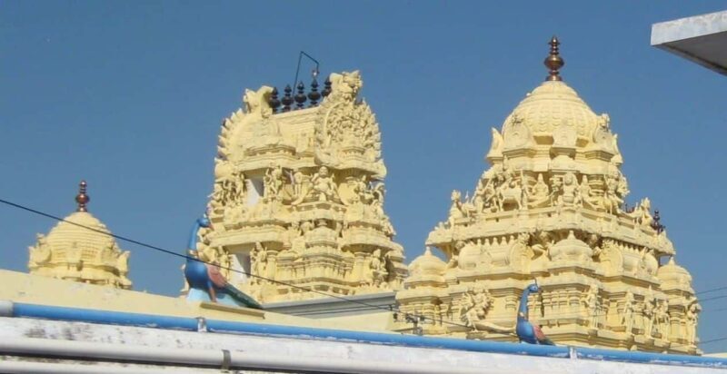 Kanchipuram in a Day: Complete Temple & Silk Tour - A cultural pause: Lunch and local insights