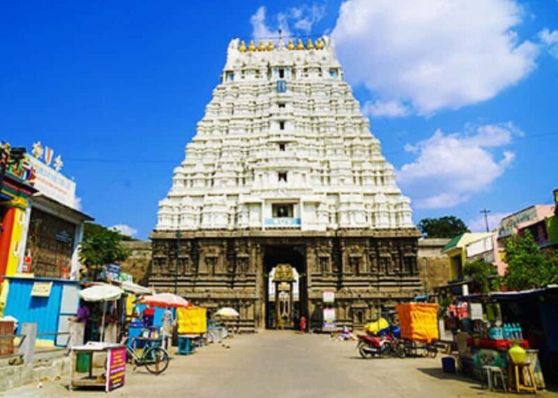 Kanchipuram in a Day: Complete Temple & Silk Tour - Who should consider this tour?