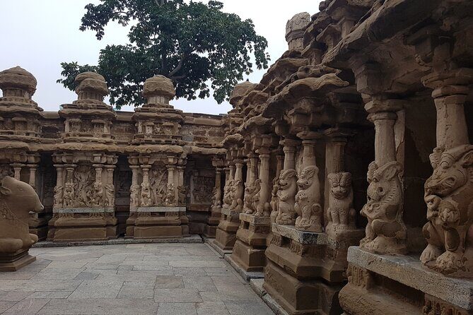 Kanchipuram Temples Day Trip with Female Host - Price and Value