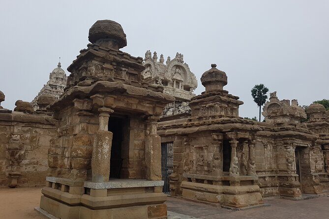Kanchipuram Temples Day Trip with Female Host - The Sum Up