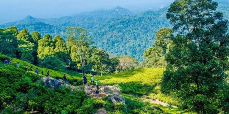 Kandy: 2 Day All-Inclusive Tea Plantation Adventure! - Activity Details