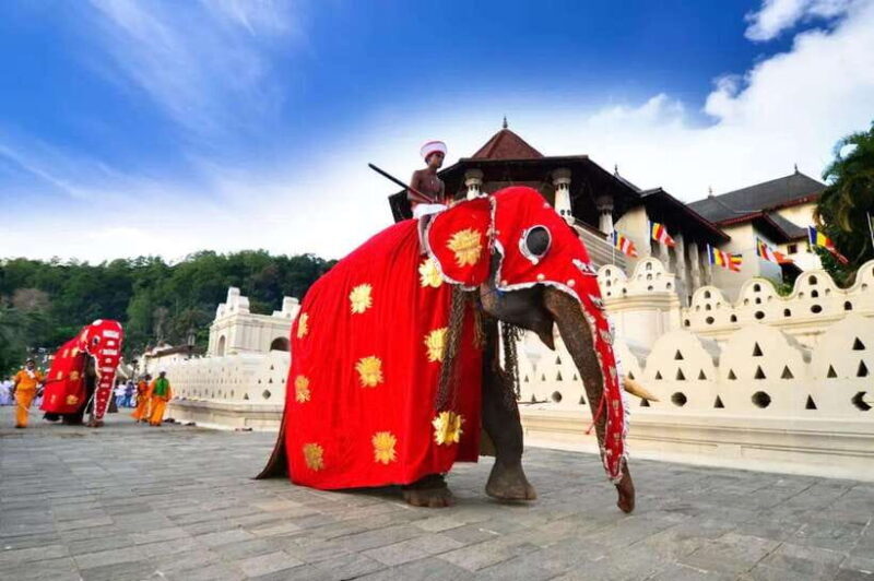 Kandy: 2-Day Tour Kandy ,Ambuluwawa Tower with Accommodation - What Makes This Tour Stand Out?