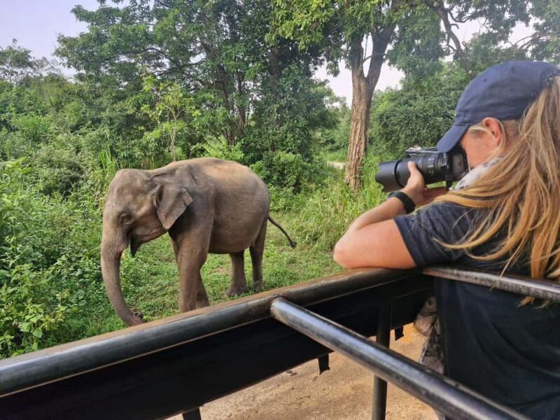 Kandy: 4-Day Sri Lanka Full Circle Private Tour To Colombo - An In-Depth Look at the 4-Day Sri Lanka Full Circle Private Tour