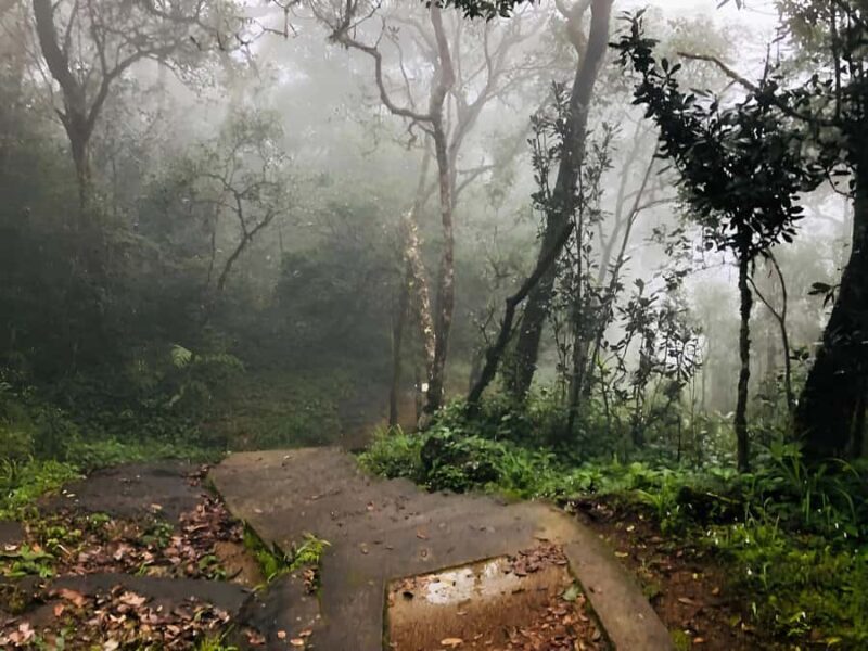 Kandy: Adam's Peak Guided Hike with Snacks and Pickup - FAQ