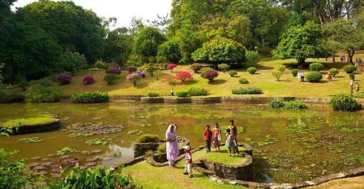 Kandy: Afternoon Private Custom City Tour! - Tour Experience