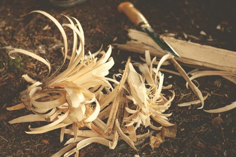 Kandy: All Include Wood Carving Workshop (Local by Tuk Tuk) - Exploring the Wood Carving Experience in Kandy