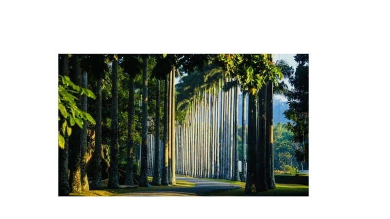 Kandy : All Inclusive City Tour By Tuk Tuk - FAQ