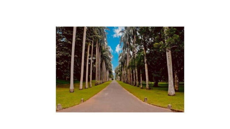 Kandy : All Inclusive City Tour By Tuk Tuk - Exploring the Itinerary in Detail