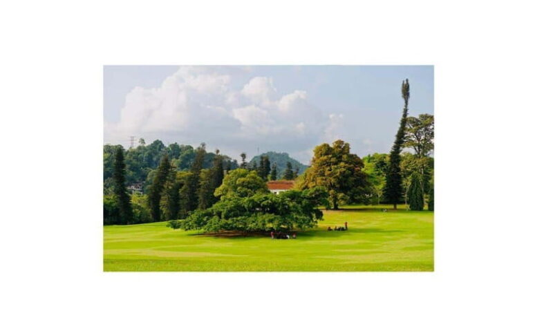 Kandy : All Inclusive City Tour By Tuk Tuk - The Sum Up