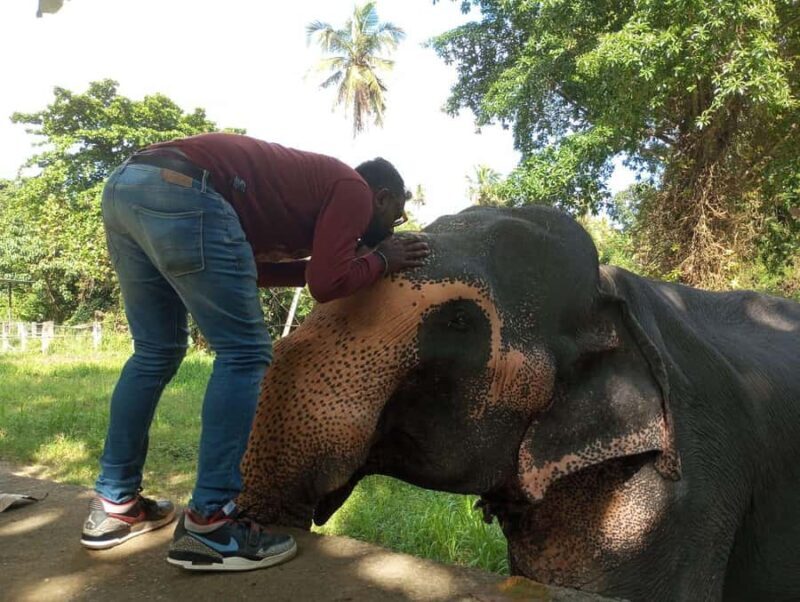 Kandy: Ambuluwawa, Pinnawala & Tea Factory by Tuk Tuk - Who Is This Tour Best For?