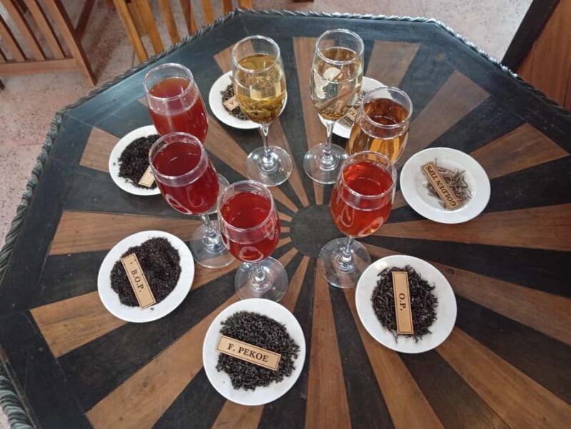 Kandy: Ambuluwawa Tower, Ramboda Falls & Tea Factory Tour - Final Thoughts