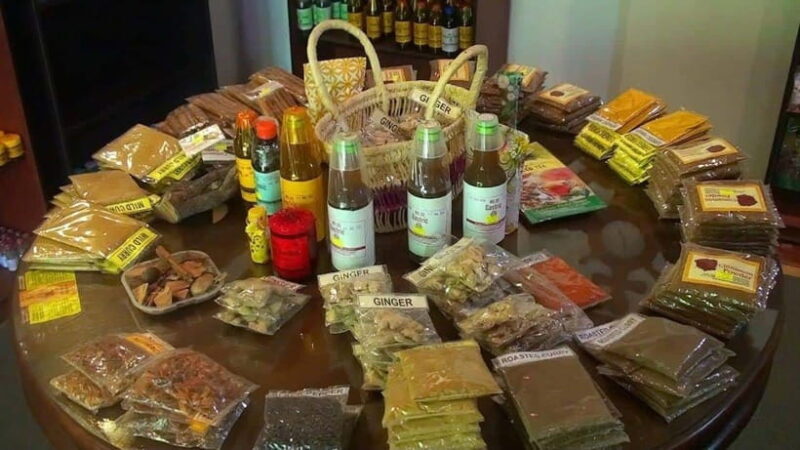 Kandy and Pinnawala: A Perfect 1-Day Tour Experience - Practical Tips for Making the Most of the Tour