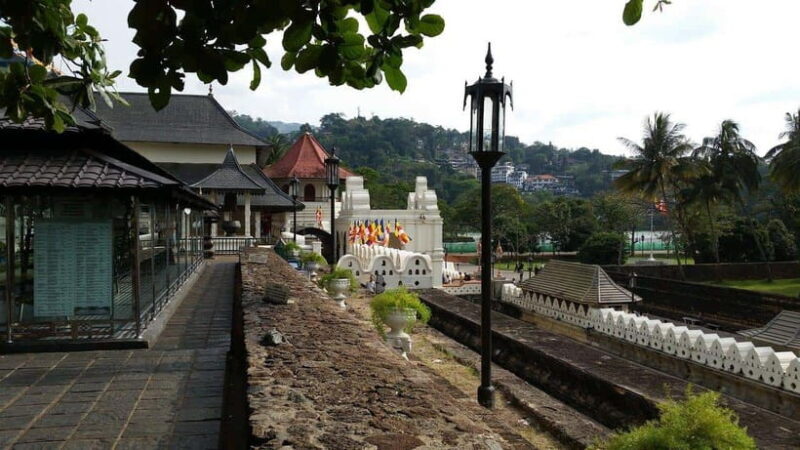 Kandy and Pinnawala: A Perfect 1-Day Tour Experience - Final Thoughts: Is This Tour Worth It?