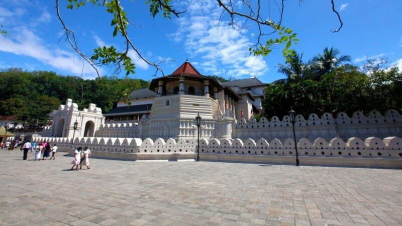 Kandy and Pinnawala: A Perfect 1-Day Tour Experience - Good To Know  