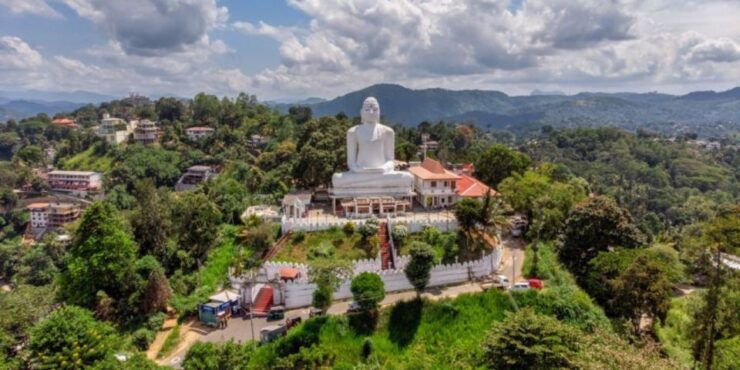 Kandy and Pinnawala: Private Day Trip From Colombo Harbor - Activity Details