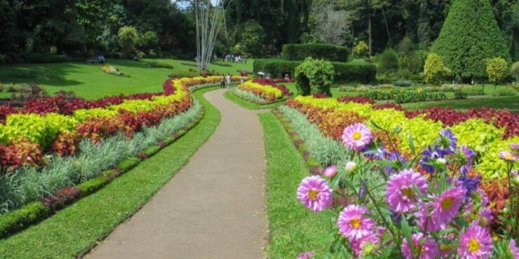 Kandy and Pinnawala: Private Day Trip From Colombo Harbor - Experience Highlights
