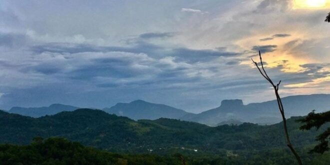 Kandy and Pinnawala: Private Day Trip! - Common Questions