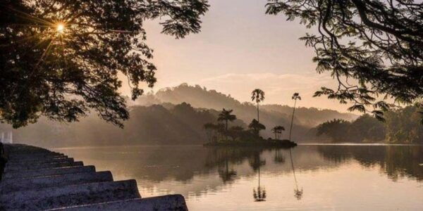 Kandy and Pinnawala: Private Day Trip! - The Sum Up