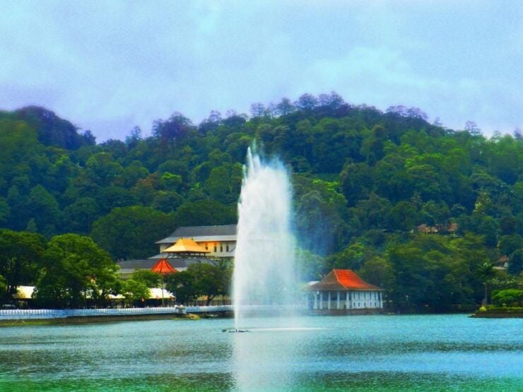 Kandy and Pinnawala Private Full–Day Tour - Tour Details and Booking Information