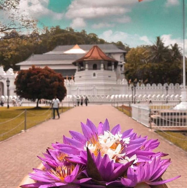 KANDY AND PINNAWELA ELEPHANT ORPHANAGE DAY TOUR - Royal Botanical Garden