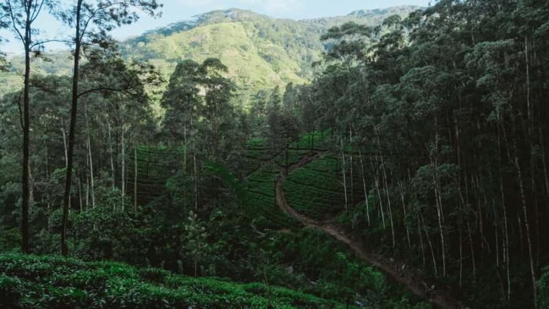 Kandy: Bike Rental with Helmet, Water, and Route Map - An In-Depth Look at the Kandy Bike Rental Experience