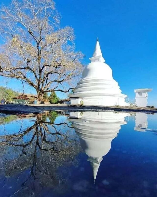 Kandy: Carvings, Stone Temples & Sacred Rituals Day Tour - Good To Know