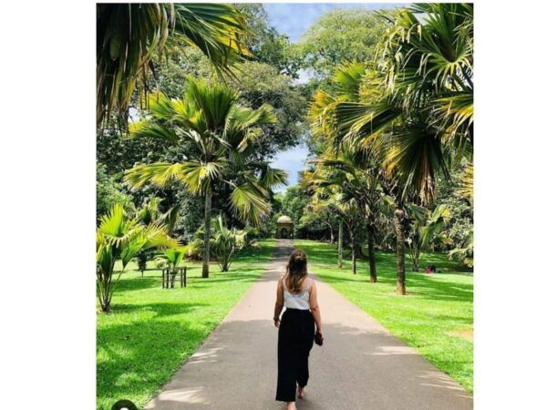 Kandy : City & Ambuluwawa Day Tour - Nearby Attractions to Explore