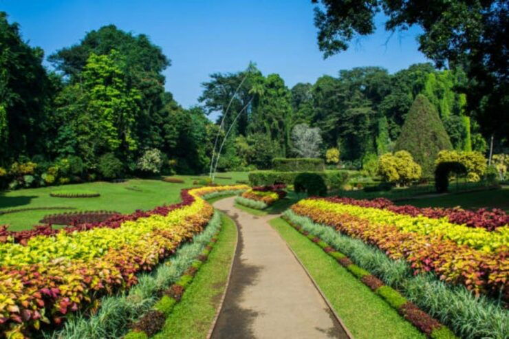 Kandy City Bike Tour: Explore All Landmarks With Guided Ride - Highlights of the Tour