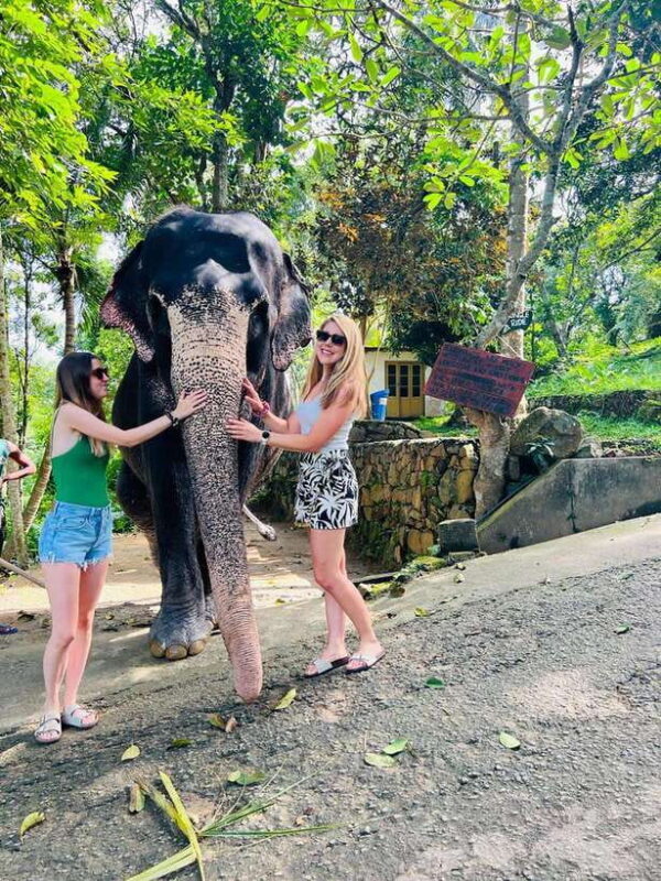 Kandy City Day Tour from Colombo, Negombo or Katunayake - FAQs