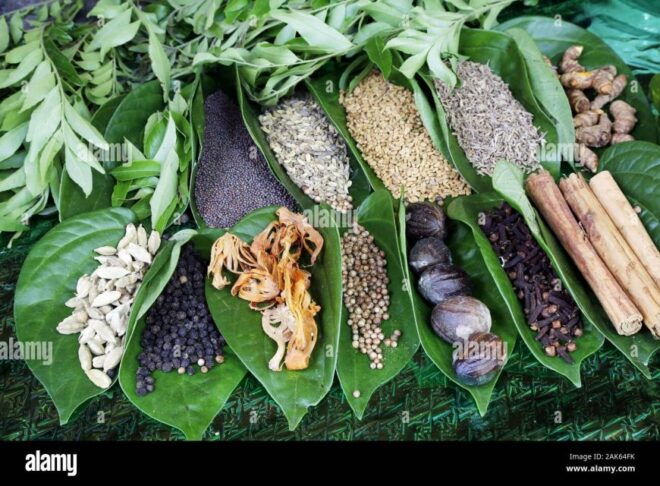 Kandy City Explore By Tuk Tuk , Like a Local - Things to Do in Kandy