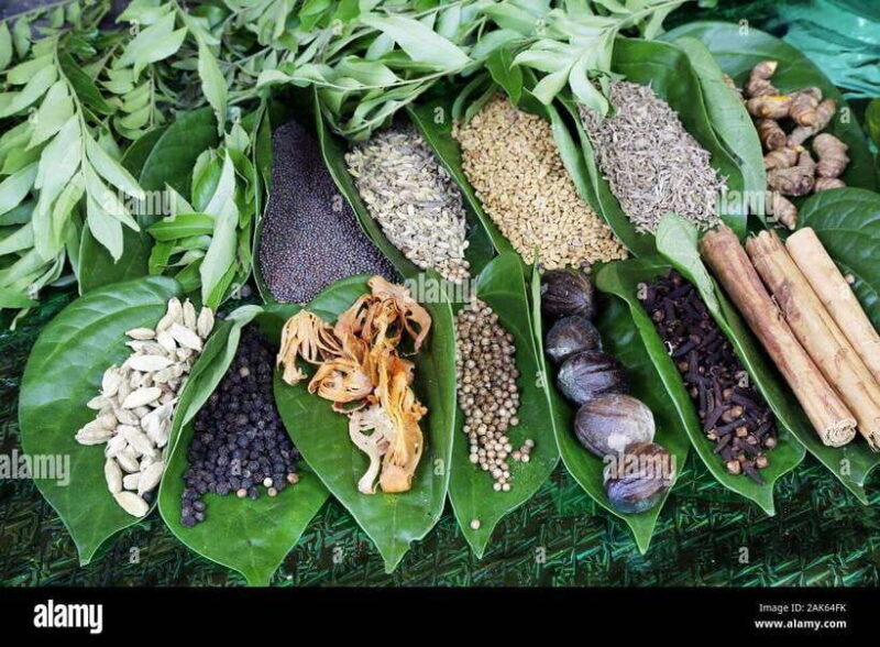 Kandy City Explore Full Day Tour , Like a Local - FAQ