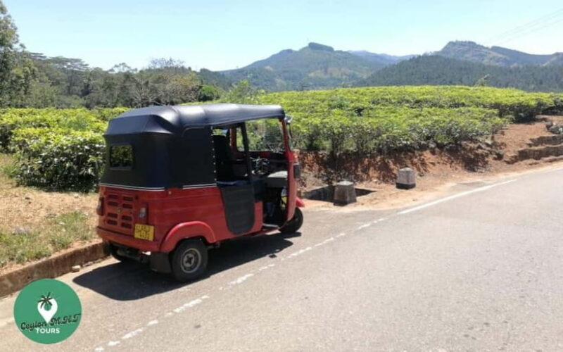 Kandy: City Explore with Local guide By Mini Van - Exploring Kandy: A Cultural and Scenic Journey