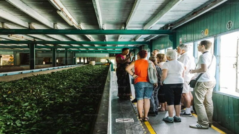 Kandy City Private Guide Tour by Tuk Tuk - An Authentic Day in Kandy: The Complete Breakdown