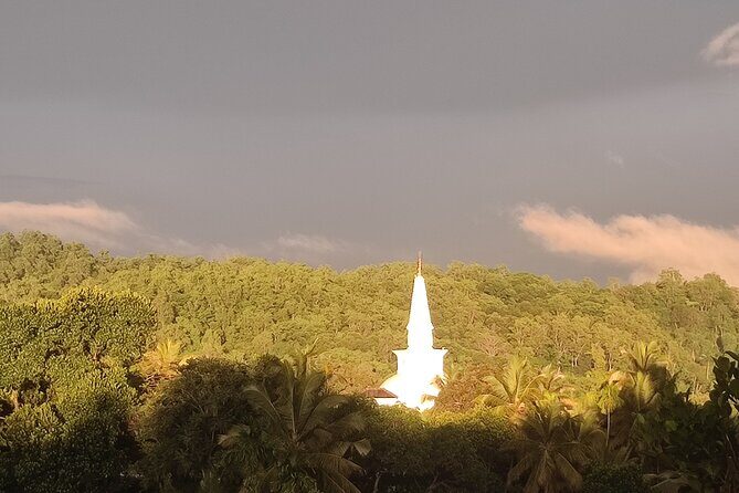 Kandy City Private Tour - Who Should Consider This Tour?