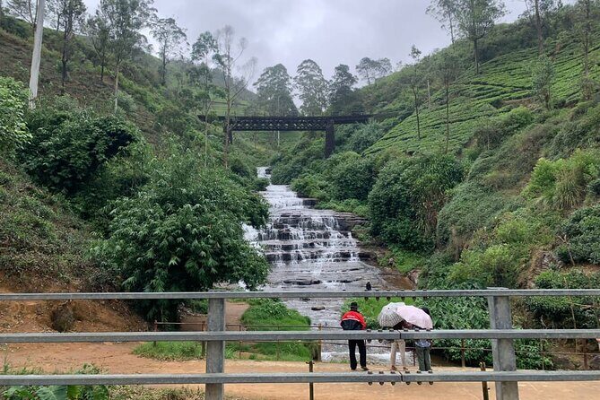 Kandy City Tour - Final Thoughts: Is the Kandy City Tour Worth It?