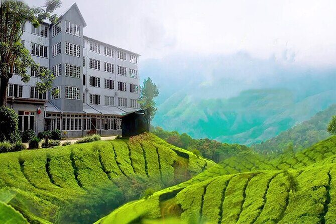 Kandy City Tour - Who Should Consider This Tour?