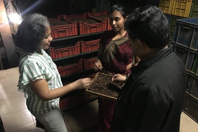 Kandy City tour and site visits - An In-Depth Look at the Kandy City Tour