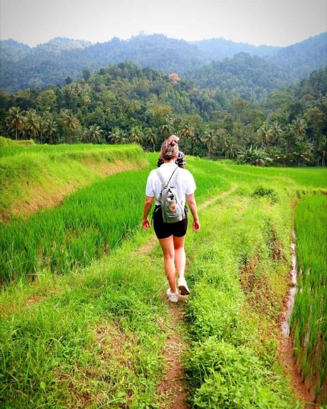 Kandy city tour and village tour in one day - What This Tour Means for You