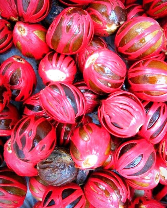 Kandy city tour and village tour in one day - Who Will Love This Tour?