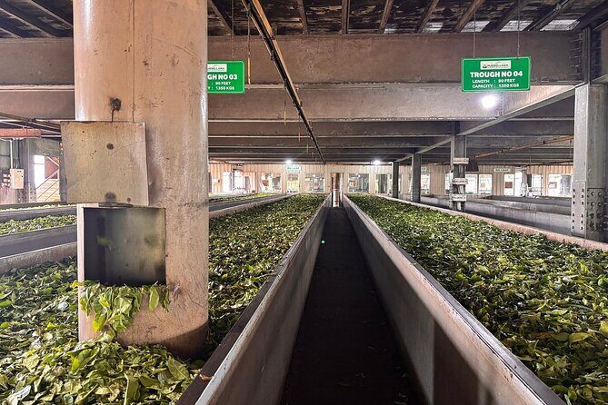 Kandy City Tour By Best Guide Lanka Tours - Who Is This Tour Best For?