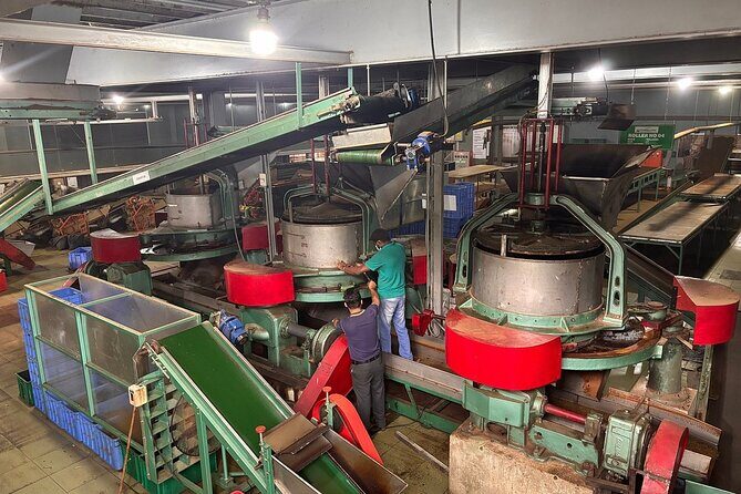 Kandy City Tour By Best Guide Lanka Tours - Final Thoughts